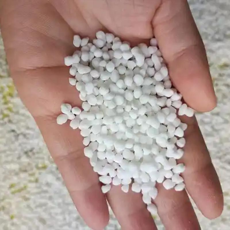 Pro Základní A Horní Obvaz